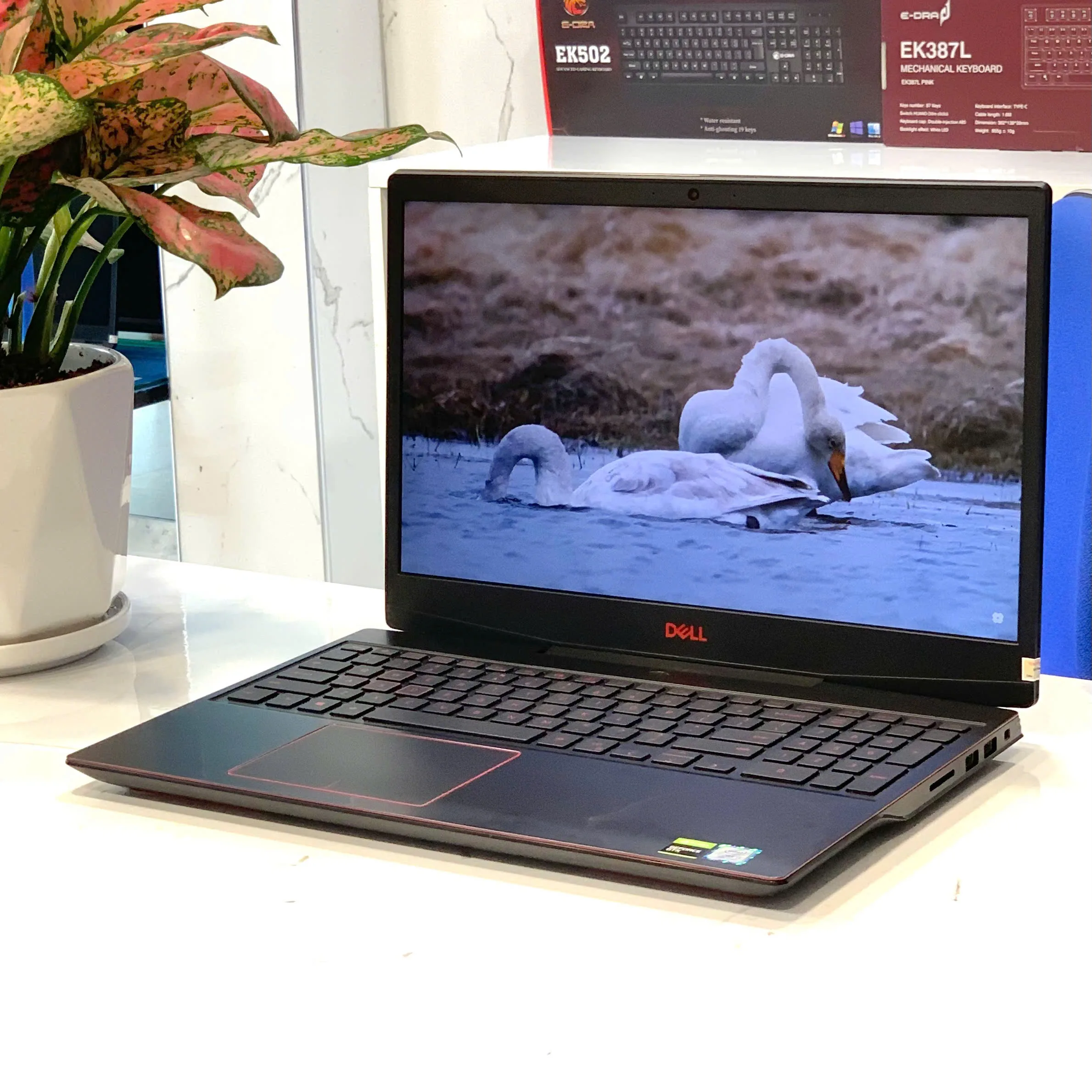 Laptop Cũ Dell Gaming G3 3590 i5-9300H RAM 8GB/ SSD 512GB/ GTX 4GB GTX 1650/ 15.6 FHD IPS