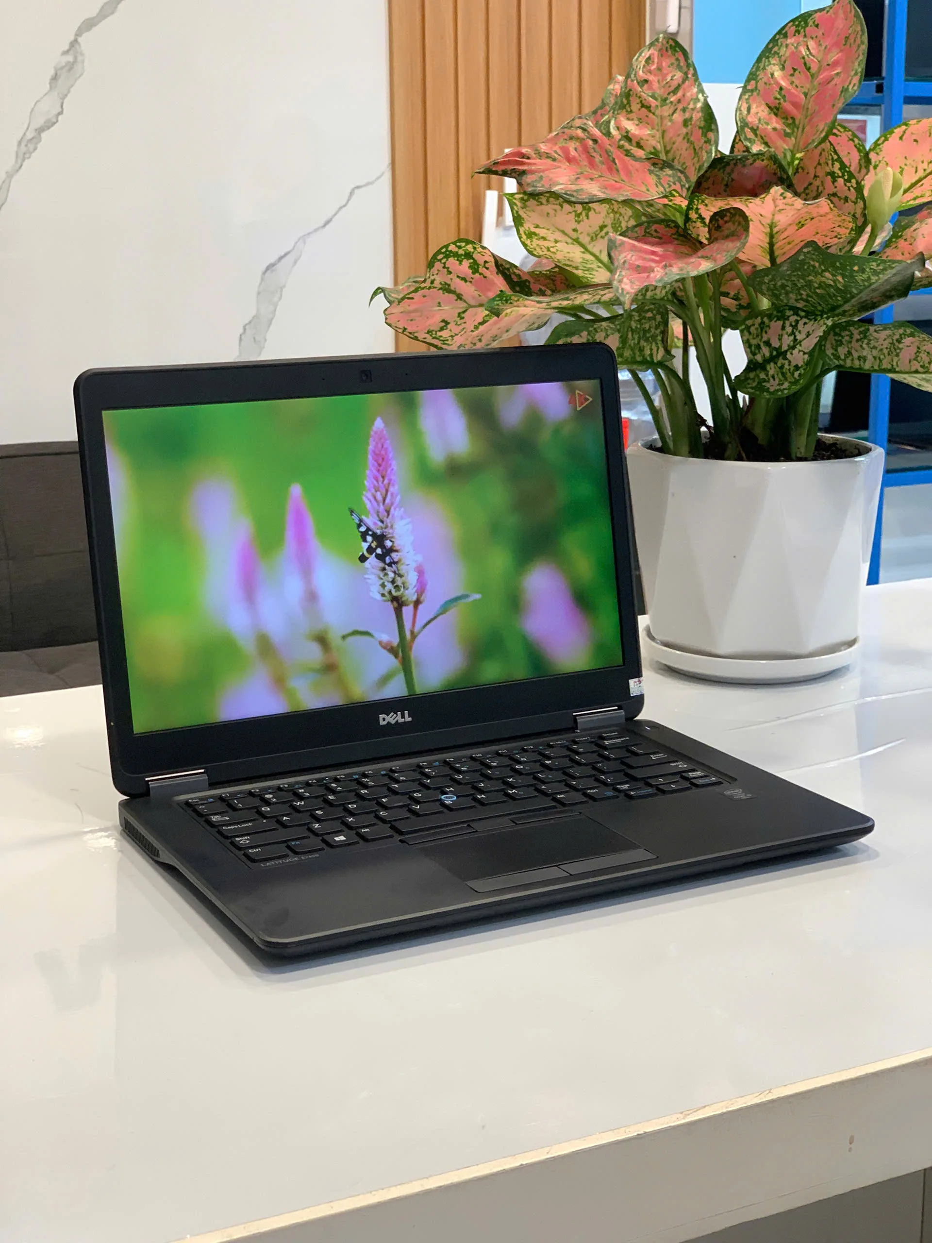 Laptop Cũ Dell Latitude E7450 Core i5-5200U/ RAM 4GB/ SSD 120GB/ 14 HD