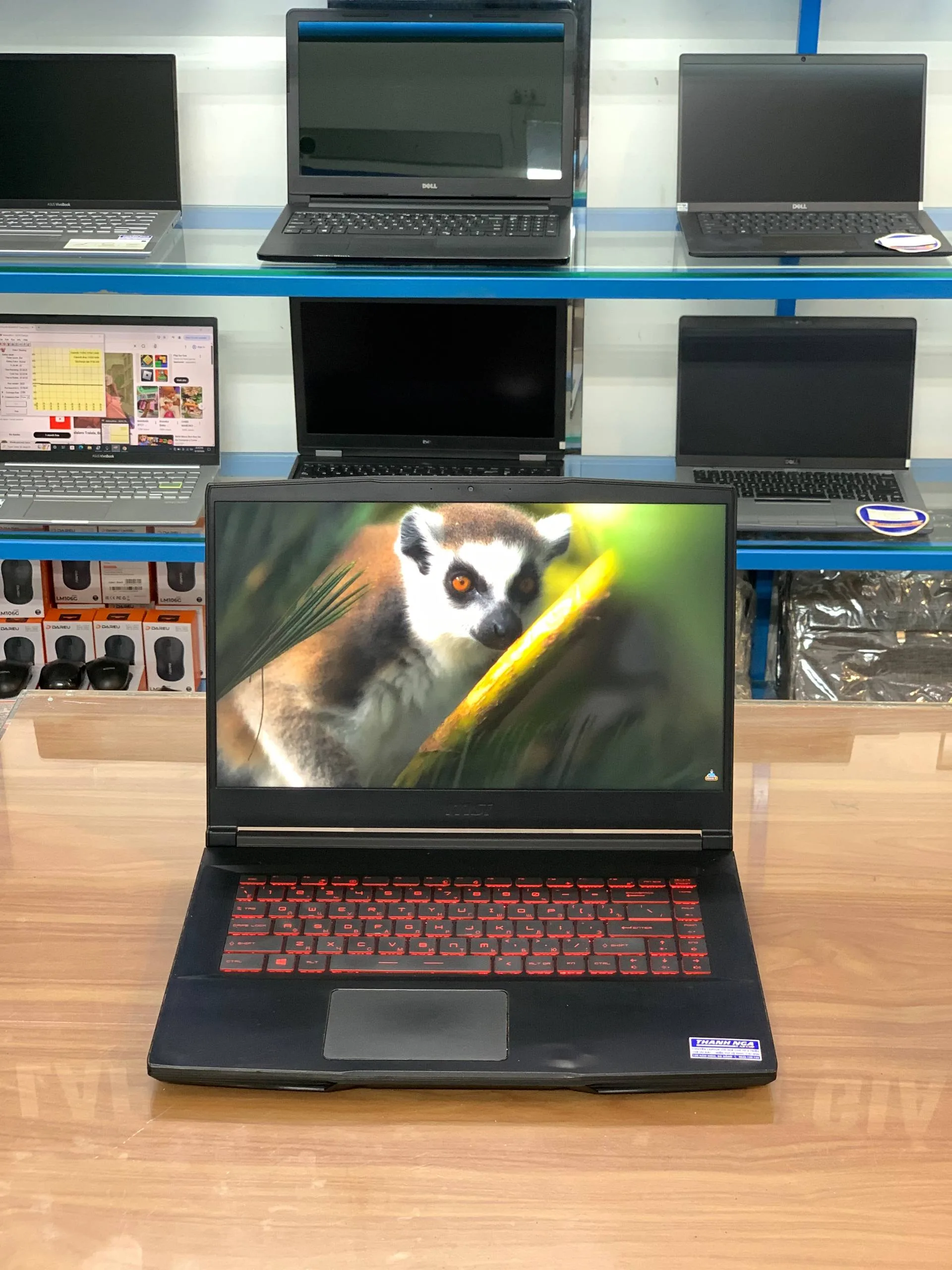 Laptop Cũ Msi GF63 Thin 9SCXR/ Core i5-9300H/ RAM 8GB/ SSD 512GB/ GTX 1650/ FHD