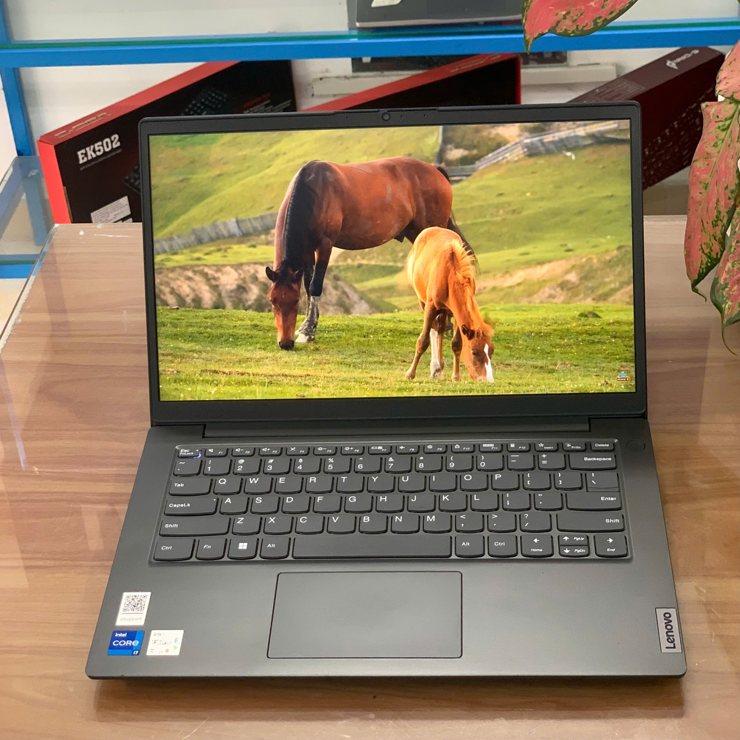 likenew-laptop-lenovo-v14-g4-83a00012vn (1).jpg