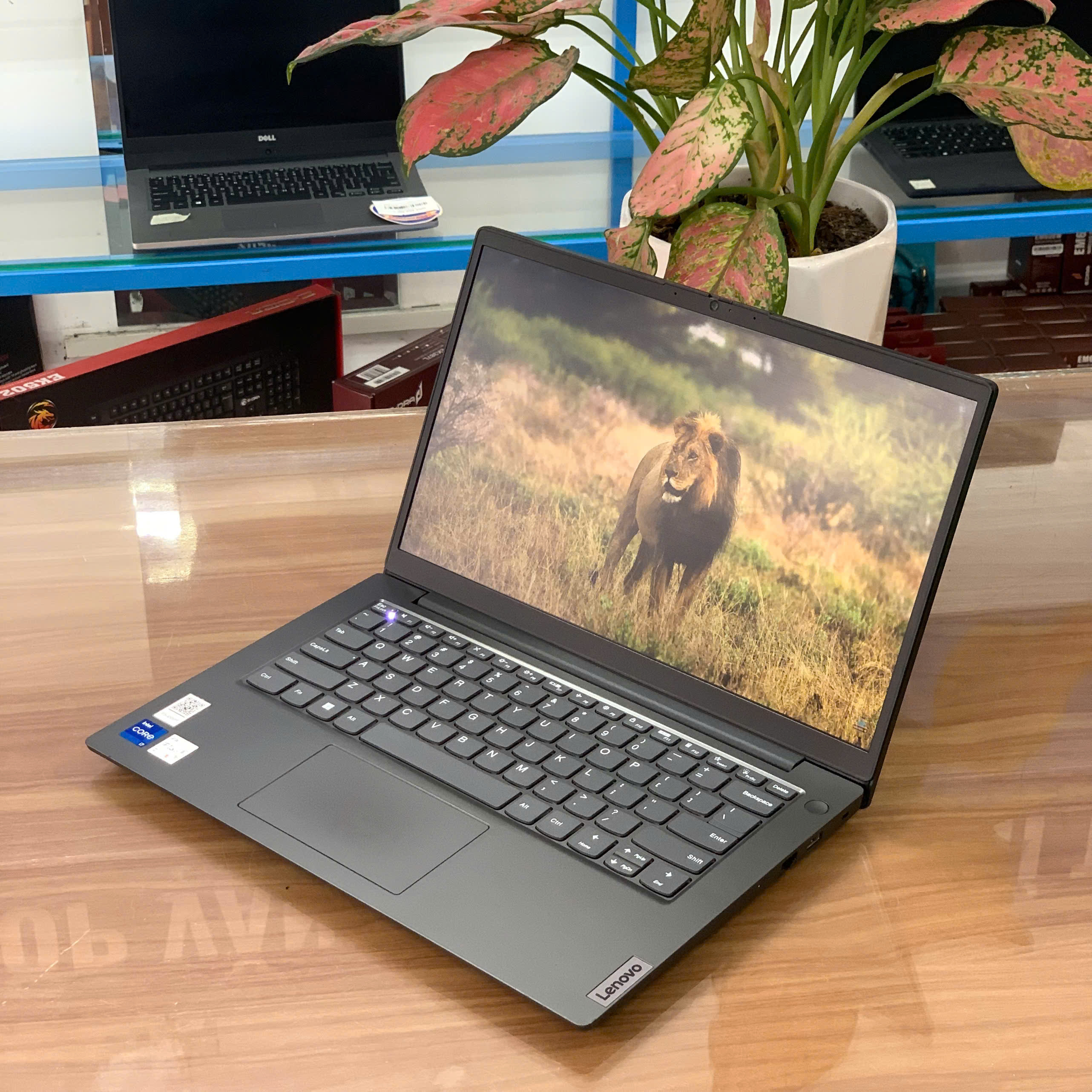 likenew-laptop-lenovo-v14-g4-83a00012vn (2).jpg